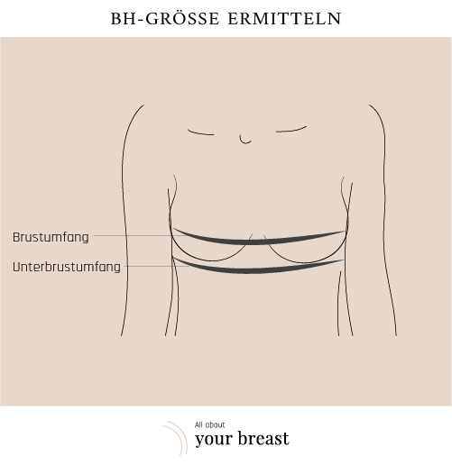 Die Richtige Bh Grosse Finden Unsere Tipps Fur Sie Allaboutyourbreast