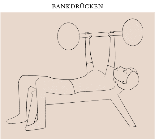 Übung für die Brust: Bankdrücken 